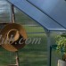 Belham Living Covina 6 x 8 ft. Polycarbonate Greenhouse   